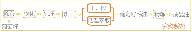 壓榨葡萄籽 低溫萃取.jpg